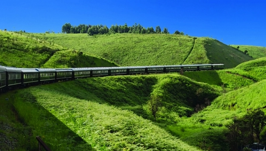 Rovos Rail Train Journey